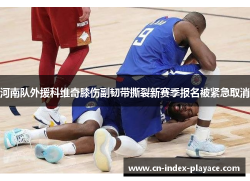 河南队外援科维奇膝伤副韧带撕裂新赛季报名被紧急取消